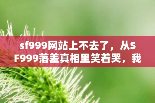 sf999网站上不去了,从SF999落差真相里笑着哭,我骂遍世界,却戒不掉深夜的登录键 sf999网站上不去了,从SF999落差真相里笑着哭,我骂遍世界,却戒不掉深夜的登录键