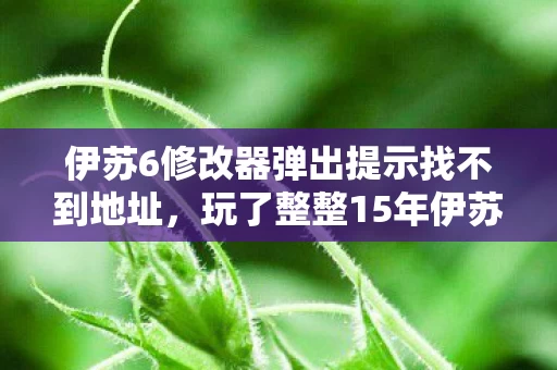 伊苏6修改器弹出提示找不到地址,玩了整整15年伊苏6,修改器竟让我陷入这3大终极纠结! 伊苏6修改器弹出提示找不到地址,玩了整整15年伊苏6,修改器竟让我陷入这3大终极纠结!
