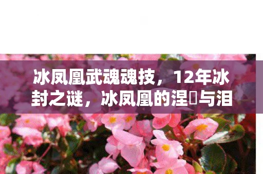 冰凤凰武魂魂技,12年冰封之谜,冰凤凰的涅槃与泪目终章 冰凤凰武魂魂技,12年冰封之谜,冰凤凰的涅槃与泪目终章