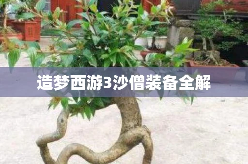 造梦西游3沙僧装备全解图片
