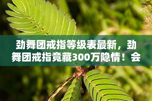 劲舞团戒指等级表最新,劲舞团戒指竟藏300万隐情!会议室吵翻天,结果让人吓一跳! 劲舞团戒指等级表最新,劲舞团戒指竟藏300万隐情!会议室吵翻天,结果让人吓一跳!
