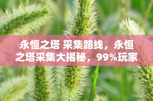 永恒之塔 采集路线,永恒之塔采集大揭秘,99%玩家踩过的3大氪金猫腻,上头到想摔键盘! 永恒之塔 采集路线,永恒之塔采集大揭秘,99%玩家踩过的3大氪金猫腻,上头到想摔键盘!