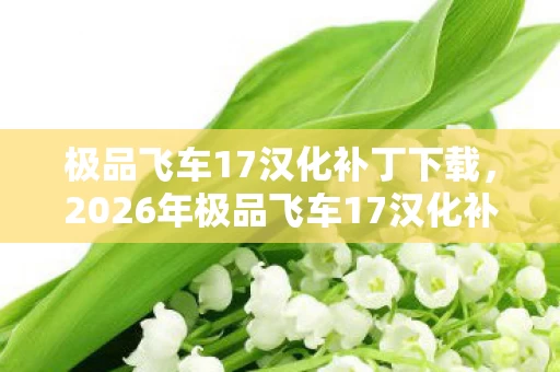 极品飞车17汉化补丁下载,2026年极品飞车17汉化补丁大揭秘,3大隐藏彩蛋等你发现? 极品飞车17汉化补丁下载,2026年极品飞车17汉化补丁大揭秘,3大隐藏彩蛋等你发现?