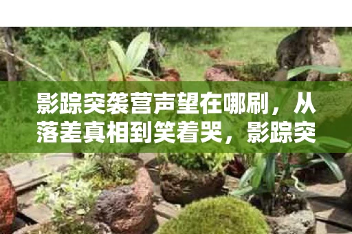 影踪突袭营声望在哪刷,从落差真相到笑着哭,影踪突袭营声望,我终究成了自己的笑话 影踪突袭营声望在哪刷,从落差真相到笑着哭,影踪突袭营声望,我终究成了自己的笑话