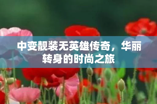 中变靓装无英雄传奇图片