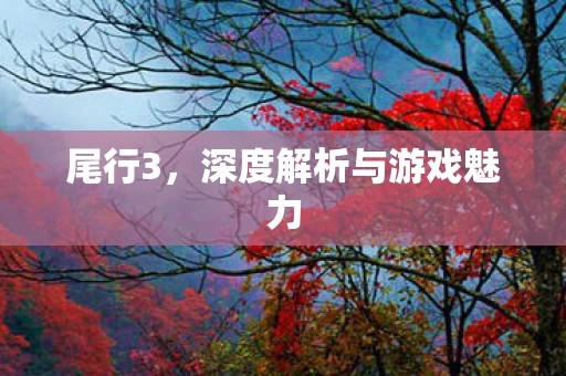 深度解析与游戏魅力图片