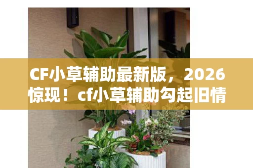 CF小草辅助最新版，2026惊现！cf小草辅助勾起旧情，伏笔揭开，鼻子一酸谁懂啊