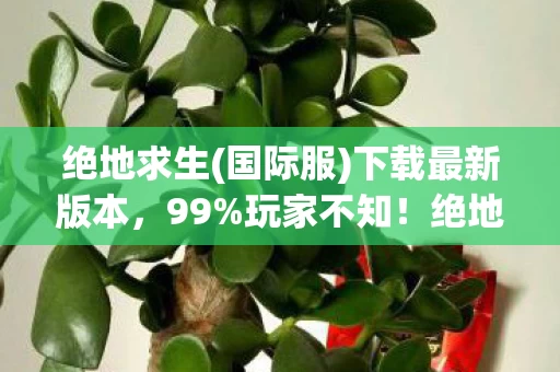 绝地求生(国际服)下载最新版本,99%玩家不知!绝地求生国际服下载后竟藏着这3个逆天机制 绝地求生(国际服)下载最新版本,99%玩家不知!绝地求生国际服下载后竟藏着这3个逆天机制