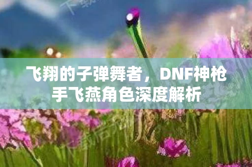 DNF神枪手飞燕角色深度解析图片