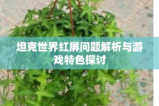 坦克世界红屏问题解析与游戏特色探讨图片