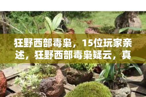 狂野西部毒枭,15位玩家亲述,狂野西部毒枭疑云,真相竟让人绷不住? 狂野西部毒枭,15位玩家亲述,狂野西部毒枭疑云,真相竟让人绷不住?