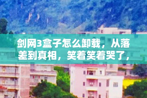 剑网3盒子怎么卸载,从落差到真相,笑着笑着哭了,剑网3盒子竟成我最后的倔强 剑网3盒子怎么卸载,从落差到真相,笑着笑着哭了,剑网3盒子竟成我最后的倔强