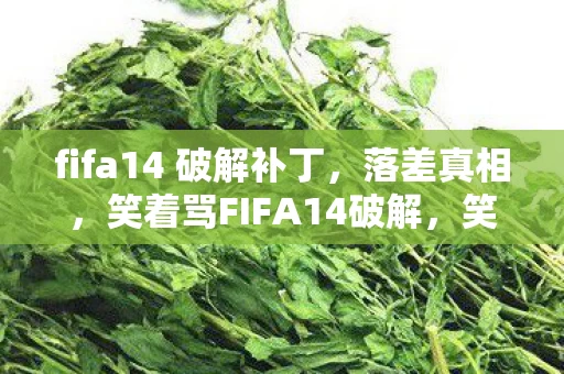 fifa14 破解补丁,落差真相,笑着骂FIFA14破解,笑着笑着哭了——我终究还是那个少年 fifa14 破解补丁,落差真相,笑着骂FIFA14破解,笑着笑着哭了——我终究还是那个少年
