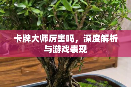 深度解析与游戏表现图片