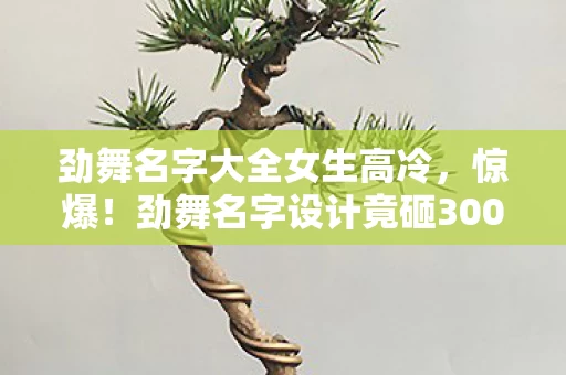劲舞名字大全女生高冷，惊爆！劲舞名字设计竟砸300万？背后隐情让你吓一跳！