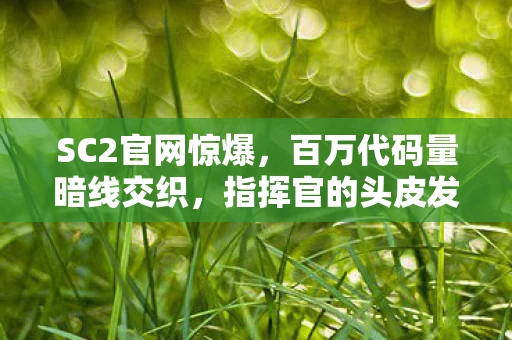 SC2官网惊爆,百万代码量暗线交织,指挥官的头皮发麻逆袭之路 SC2官网惊爆,百万代码量暗线交织,指挥官的头皮发麻逆袭之路