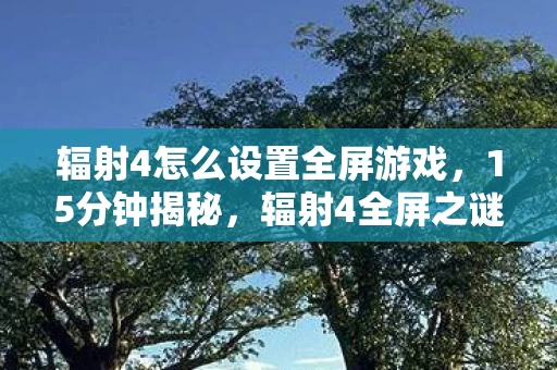 辐射4怎么设置全屏游戏,15分钟揭秘,辐射4全屏之谜,老玩家泪目瞬间 辐射4怎么设置全屏游戏,15分钟揭秘,辐射4全屏之谜,老玩家泪目瞬间