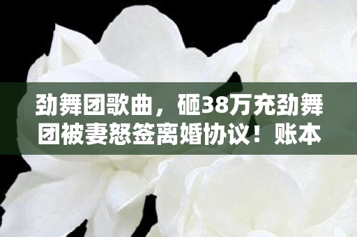 劲舞团歌曲，砸38万充劲舞团被妻怒签离婚协议！账本血泪，这功能害我家破人亡