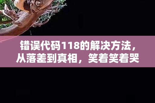 错误代码118的解决方法，从落差到真相，笑着笑着哭了，这游戏坑得我祖坟冒烟
