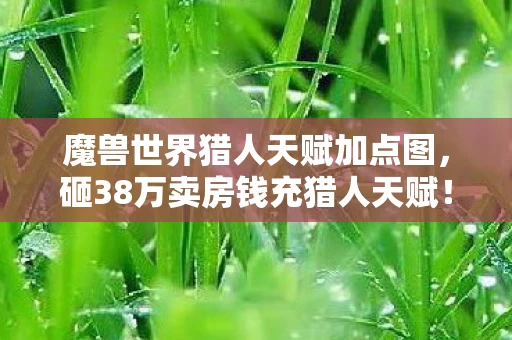 魔兽世界猎人天赋加点图，砸38万卖房钱充猎人天赋！老婆签离婚协议时，我才知自己多疯