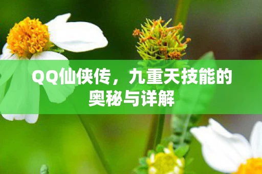 九重天技能的奥秘与详解图片