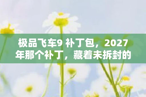 极品飞车9 补丁包，2027年那个补丁，藏着未拆封的约定，鼻子一酸才懂离散