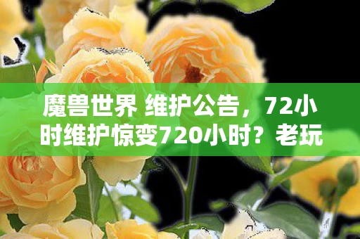 魔兽世界 维护公告，72小时维护惊变720小时？老玩家心路，从退坑到回坑的魔幻之旅！