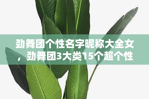 劲舞团个性名字昵称大全女,劲舞团3大类15个超个性名字心得+避坑指南,让你的ID秒变全场焦点! 劲舞团个性名字昵称大全女,劲舞团3大类15个超个性名字心得+避坑指南,让你的ID秒变全场焦点!