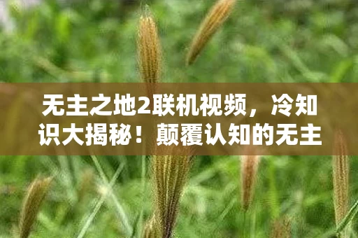 无主之地2联机视频,冷知识大揭秘!颠覆认知的无主之地2联机设计,让你目瞪口呆! 无主之地2联机视频,冷知识大揭秘!颠覆认知的无主之地2联机设计,让你目瞪口呆!