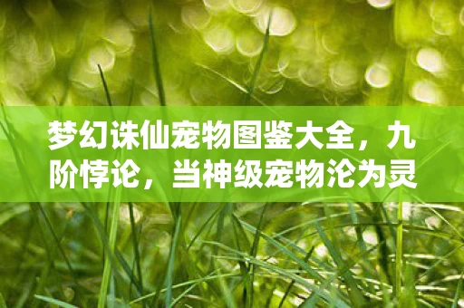 梦幻诛仙宠物图鉴大全,九阶悖论,当神级宠物沦为灵魂囚徒,谁在审判我的存在? 梦幻诛仙宠物图鉴大全,九阶悖论,当神级宠物沦为灵魂囚徒,谁在审判我的存在?