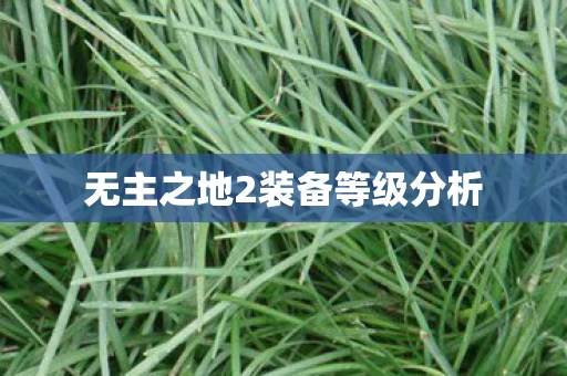 无主之地2装备等级分析图片