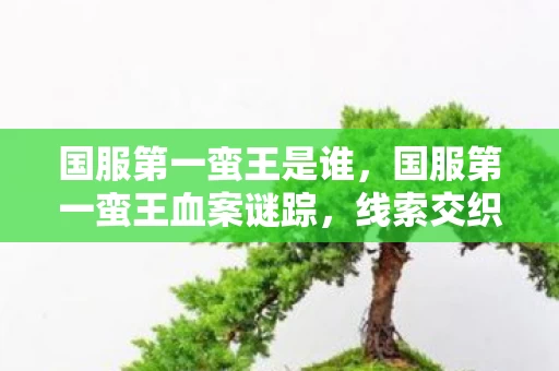 国服第一蛮王是谁,国服第一蛮王血案谜踪,线索交织成悬案,毛骨悚然真相待揭 国服第一蛮王是谁,国服第一蛮王血案谜踪,线索交织成悬案,毛骨悚然真相待揭