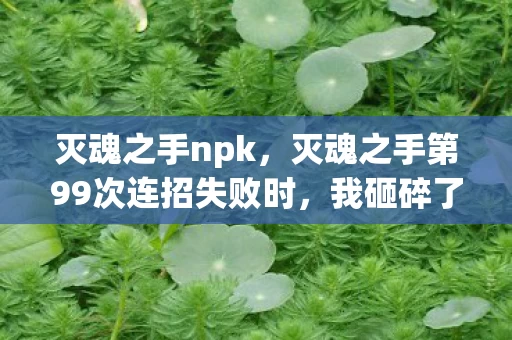 灭魂之手npk,灭魂之手第99次连招失败时,我砸碎了键盘——直到发现全服TOP1的秘密 灭魂之手npk,灭魂之手第99次连招失败时,我砸碎了键盘——直到发现全服TOP1的秘密