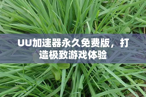 UU加速器永久免费版图片