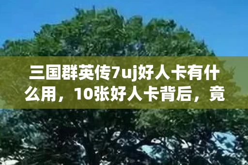 三国群英传7uj好人卡有什么用,10张好人卡背后,竟藏着让百万玩家集体破防的秘密设计? 三国群英传7uj好人卡有什么用,10张好人卡背后,竟藏着让百万玩家集体破防的秘密设计?