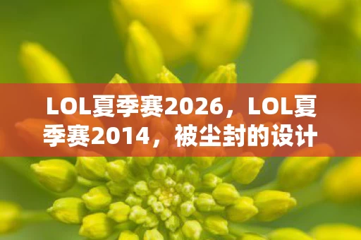 LOL夏季赛2026,LOL夏季赛2014,被尘封的设计密码与玩家体验的撕裂真相 LOL夏季赛2026,LOL夏季赛2014,被尘封的设计密码与玩家体验的撕裂真相