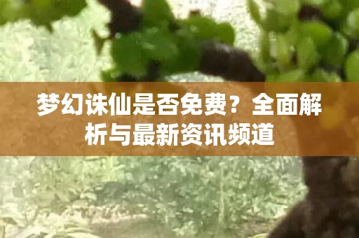 全面解析与最新资讯频道图片