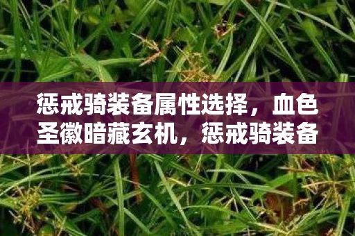 惩戒骑装备属性选择，血色圣徽暗藏玄机，惩戒骑装备悬案，毛骨悚然真相待解