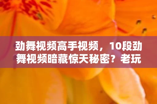 劲舞视频高手视频,10段劲舞视频暗藏惊天秘密?老玩家十年沉浮终揭版本真相! 劲舞视频高手视频,10段劲舞视频暗藏惊天秘密?老玩家十年沉浮终揭版本真相!
