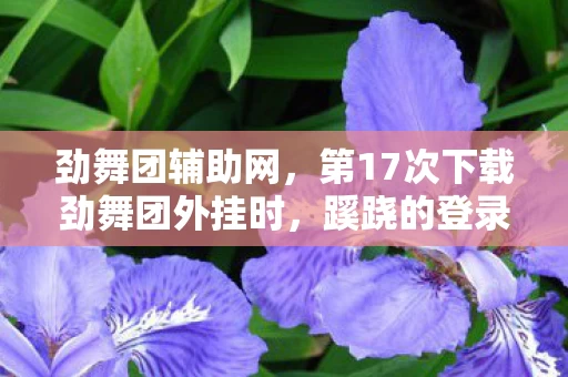 劲舞团辅助网,第17次下载劲舞团外挂时,蹊跷的登录界面让我后背发凉 劲舞团辅助网,第17次下载劲舞团外挂时,蹊跷的登录界面让我后背发凉