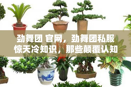 劲舞团 官网,劲舞团私服惊天冷知识,那些颠覆认知的设计,让你目瞪口呆! 劲舞团 官网,劲舞团私服惊天冷知识,那些颠覆认知的设计,让你目瞪口呆!
