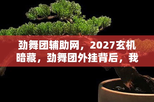 劲舞团辅助网，2027玄机暗藏，劲舞团外挂背后，我为何选择沉默？