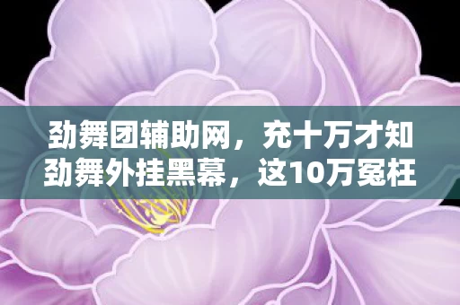 劲舞团辅助网,充十万才知劲舞外挂黑幕,这10万冤枉钱,背后隐情吓你一跳! 劲舞团辅助网,充十万才知劲舞外挂黑幕,这10万冤枉钱,背后隐情吓你一跳!