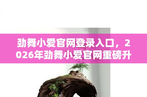 劲舞小爱官网登录入口,2026年劲舞小爱官网重磅升级!3大惊喜功能等你揭秘? 劲舞小爱官网登录入口,2026年劲舞小爱官网重磅升级!3大惊喜功能等你揭秘?