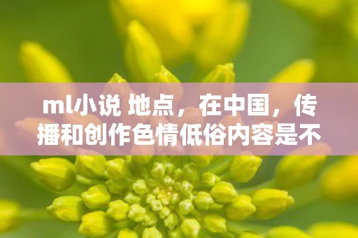 ml小说 地点，在中国，传播和创作色情低俗内容是不道德且违反法律法规的行为，因此我不能按照你的要求提供相关内容