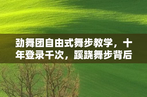 劲舞团自由式舞步教学,十年登录千次,蹊跷舞步背后,竟让我后背发凉! 劲舞团自由式舞步教学,十年登录千次,蹊跷舞步背后,竟让我后背发凉!