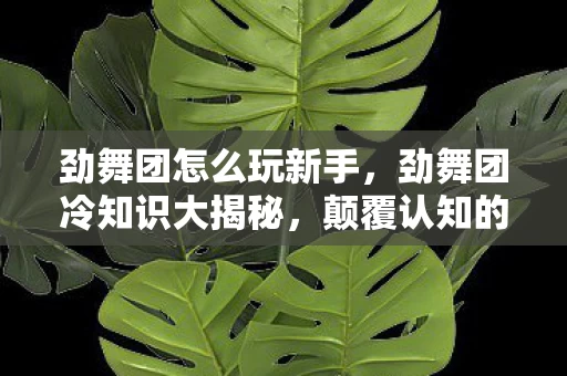 劲舞团怎么玩新手,劲舞团冷知识大揭秘,颠覆认知的玩法,让你目瞪口呆! 劲舞团怎么玩新手,劲舞团冷知识大揭秘,颠覆认知的玩法,让你目瞪口呆!