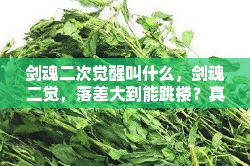 剑魂二次觉醒叫什么，剑魂二觉，落差大到能跳楼？真相揭秘后，笑着笑着就哭了……