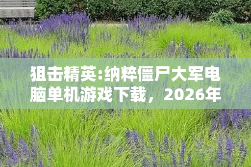 狙击精英:纳粹僵尸大军电脑单机游戏下载，2026年那场狙击精英，纳粹僵尸大军，伏笔成殇，鼻子一酸忆旧友