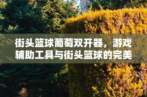 游戏辅助工具与街头篮球的完美结合图片